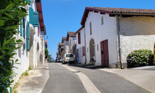 Photo N° 16
