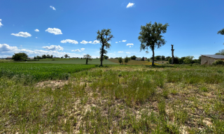 Terrain  1100 m² à vendre à Tauriac-de-Naucelle (12800)