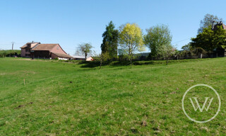 Photo N° 4