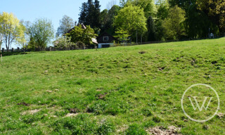 Photo N° 5
