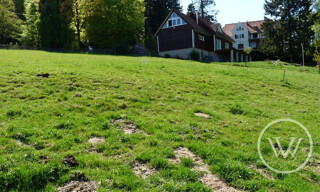 Photo N° 6