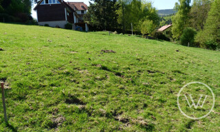 Photo N° 8
