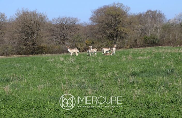 ENCLOS CYNEGETIQUE AVEC ETANG — photo 3