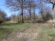 ENCLOS CYNEGETIQUE AVEC ETANG — photo 4