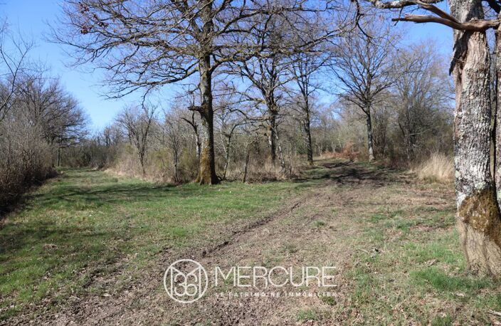 ENCLOS CYNEGETIQUE AVEC ETANG — photo 4