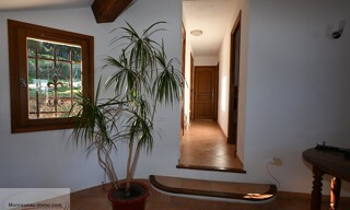 Photo N° 6