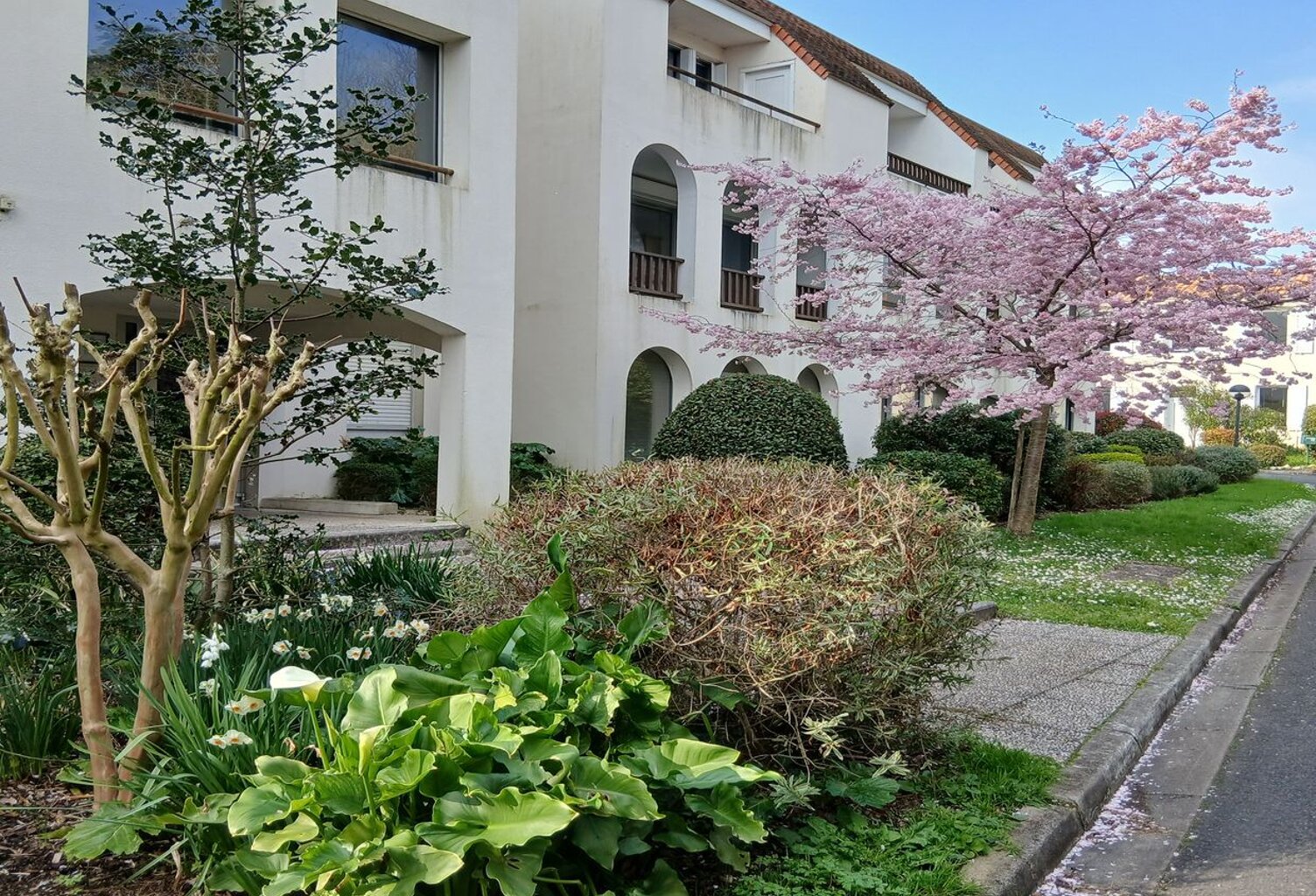Appartement — photo 1