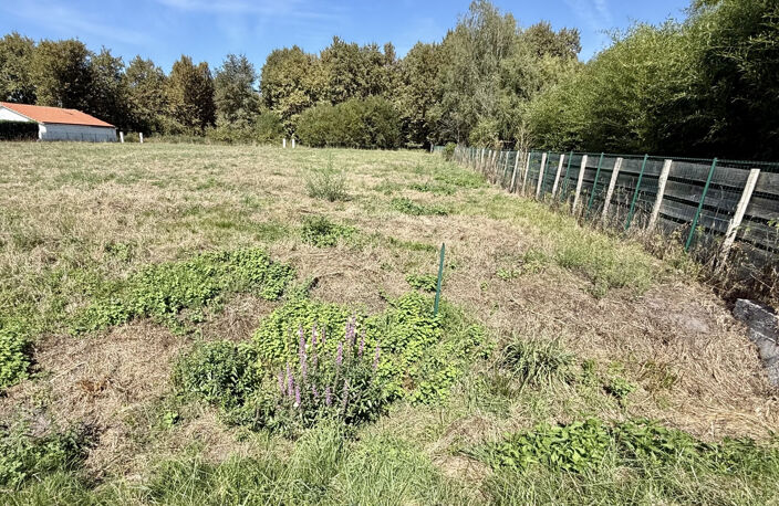 SORE - Terrain constructible - 3000m2 - landes (40) - Aquita — photo 3