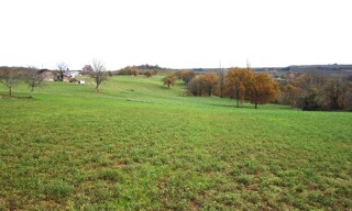Photo N° 4