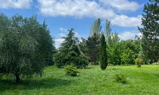 Photo N° 4