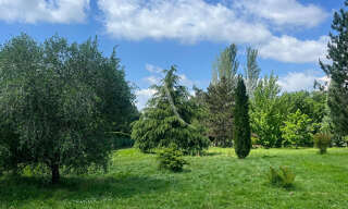 Photo N° 5