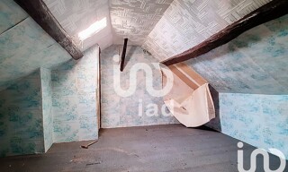 Photo N° 7