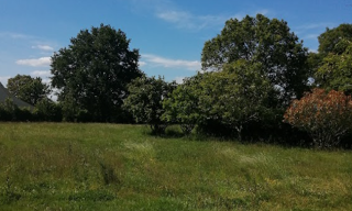 Terrain  3727 m² à vendre à Plessé (44630)