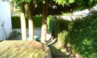 Photo N° 6