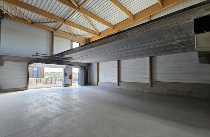 Locaux d'activité — photo 2
