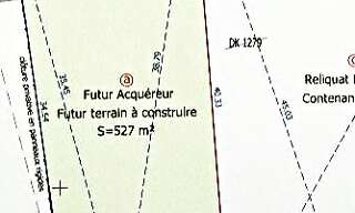 Photo N° 4