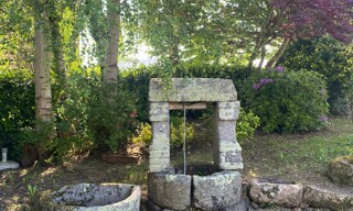 Photo N° 4