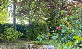 Photo N° 6