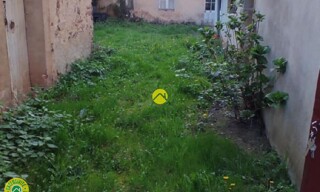 Photo N° 6
