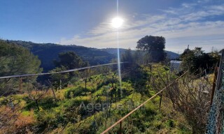 Terrain  15280 m² à vendre à Nice (06200)