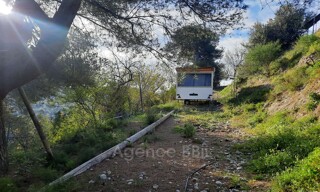 Photo N° 3