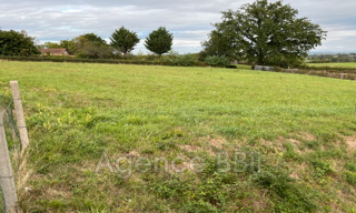 Terrain  2051 m² à vendre à Melay (71340)