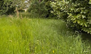 Terrain  500 m² à vendre à Saint-Selve (33650)