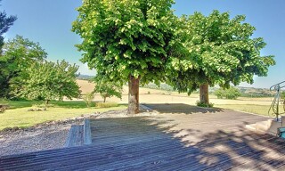 Photo N° 16