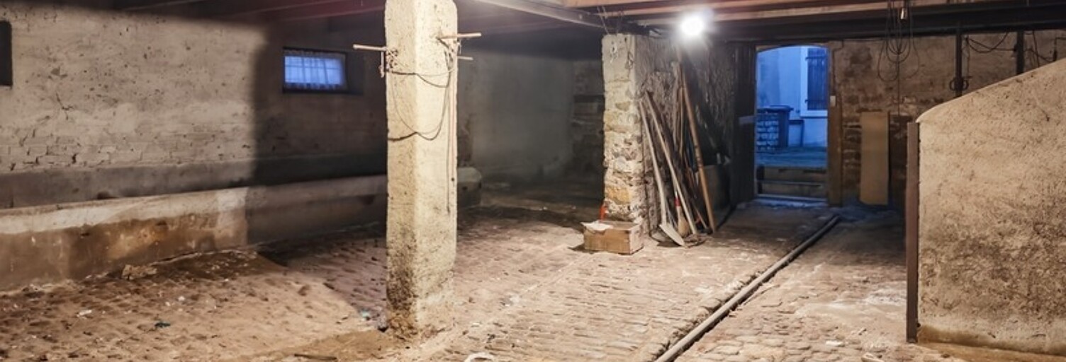 Maison 17 Pièces 350 m² à vendre à Kœnigsmacker (57970)