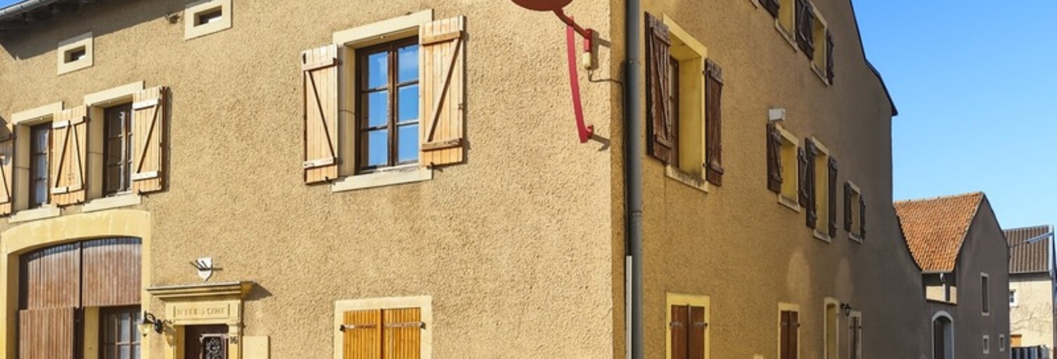 Maison 17 Pièces 350 m² à vendre à Kœnigsmacker (57970)