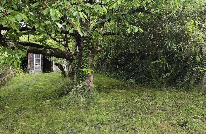 Charmante maison des années 60 — photo 4