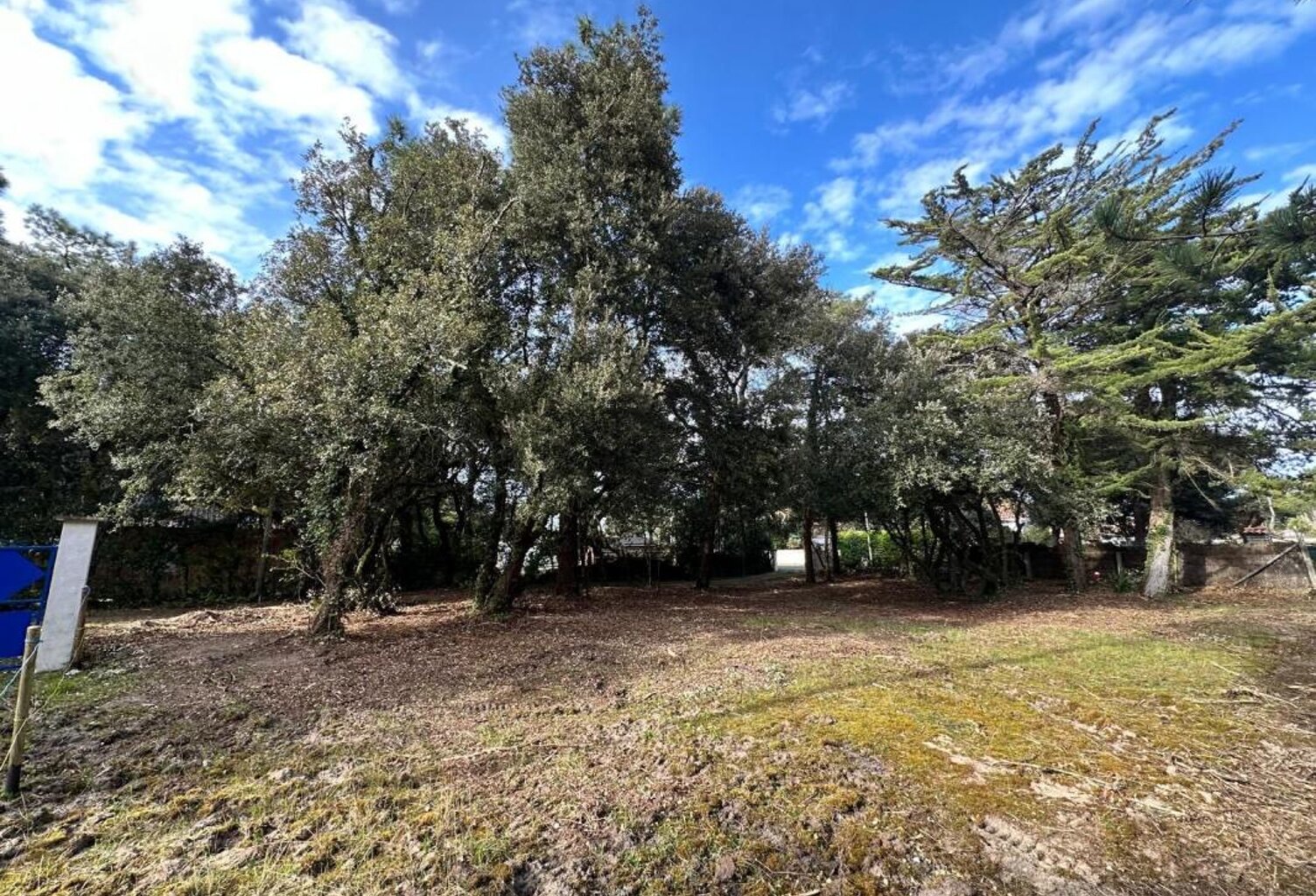 🏡 À VENDRE – Terrain Constructible à Domino 🌳🌞 — photo 1