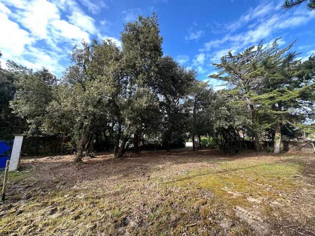 À VENDRE – Terrain Constructible à Domino — photo du bien