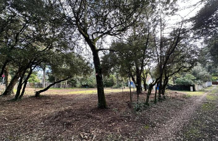 🏡 À VENDRE – Terrain Constructible à Domino 🌳🌞 — photo 2
