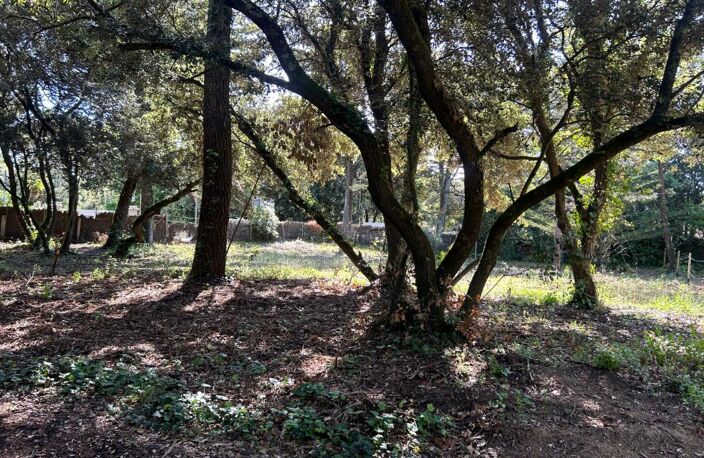 🏡 À VENDRE – Terrain Constructible à Domino 🌳🌞 — photo 3
