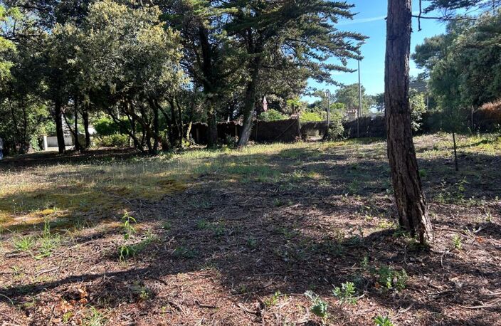 🏡 À VENDRE – Terrain Constructible à Domino 🌳🌞 — photo 4