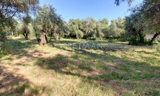 Terrain  2000 m² à vendre à Opio (06650)