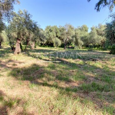 Terrain  790000 €