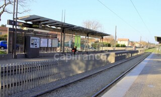 Photo N° 4