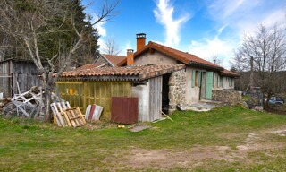 Photo N° 4