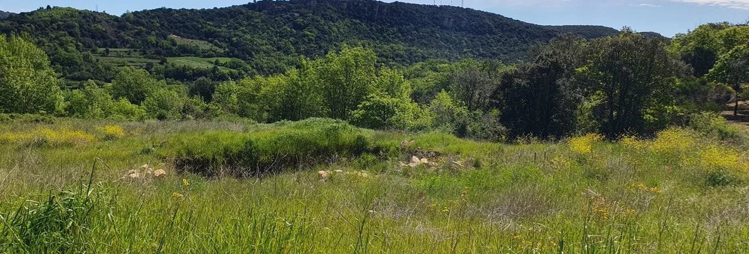 Terrain  1966 m² à vendre à Taussac-la-Billière (34600)