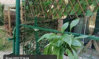 Maison 2 Pièces 36 m² à louer à Montferrand (11320)