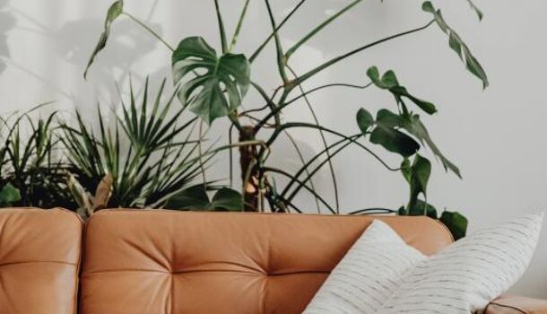 Appartement 2 pièces  à vendre Villenave-d'Ornon 33140