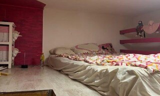 Photo N° 6