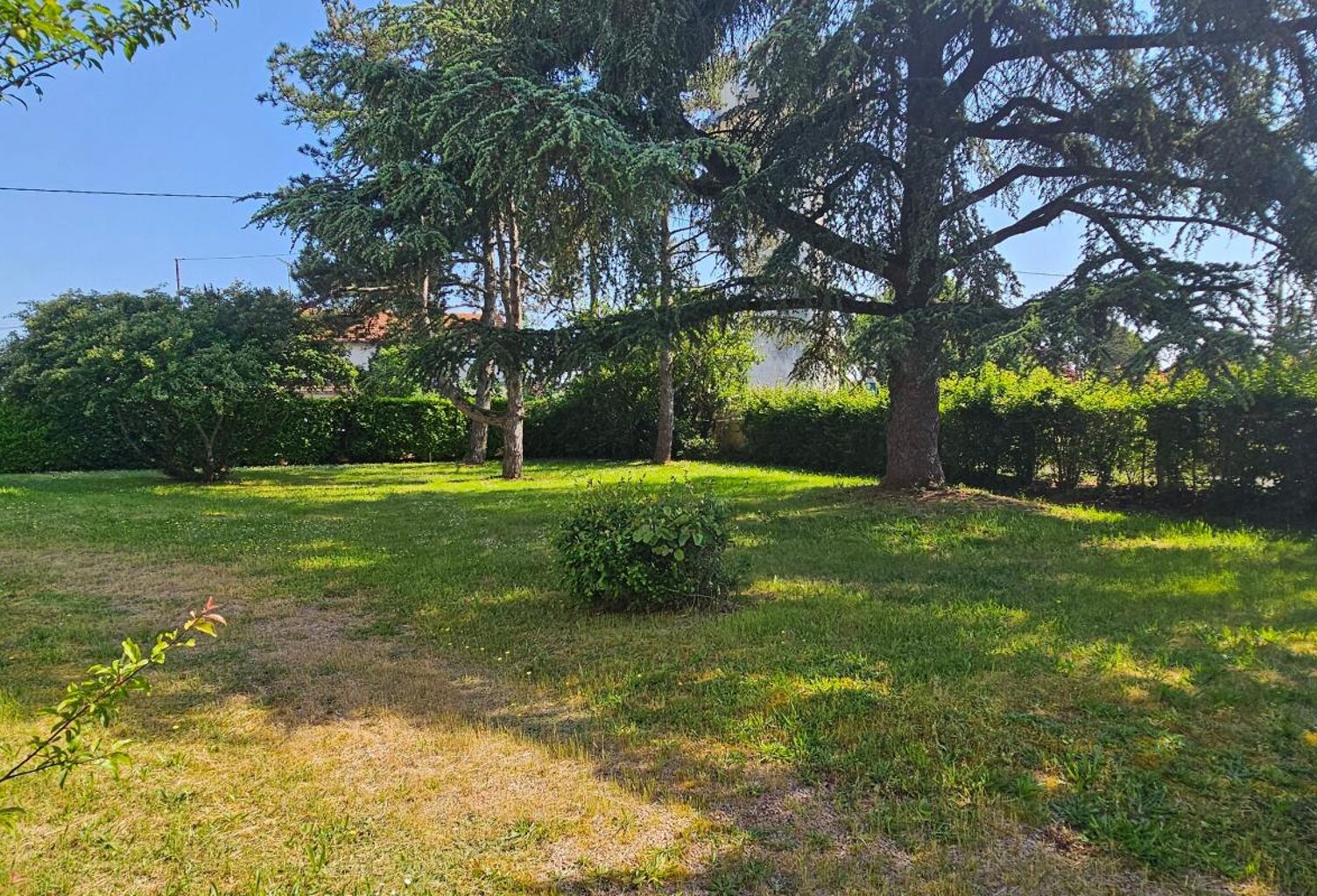 Terrain À Vendre — photo 1