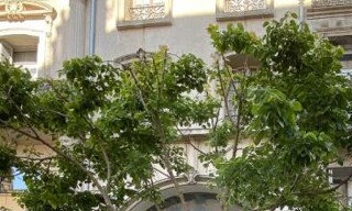 Immeuble  501 m² à vendre à Béziers (34500)