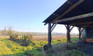 Photo N° 3