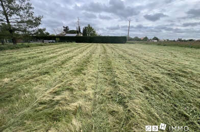 Terrain  80000 €