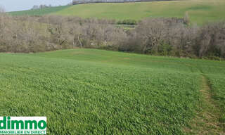 Terrain  7000 m² à vendre à Gaillac-Toulza (31550)