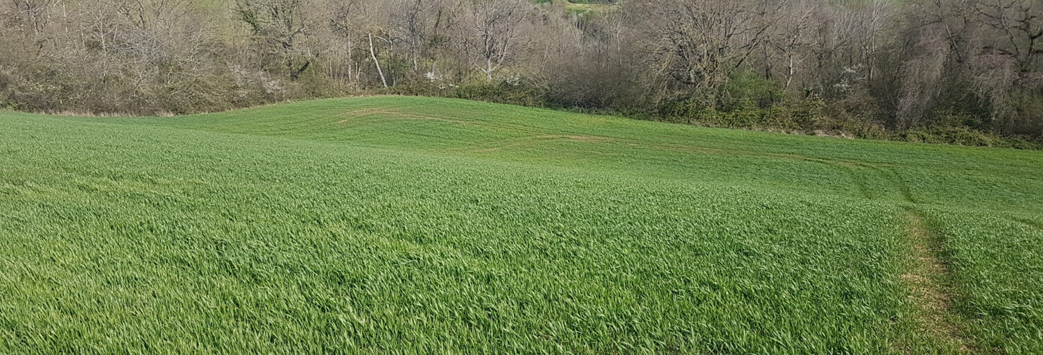 Terrain  7000 m² à vendre à Gaillac-Toulza (31550)